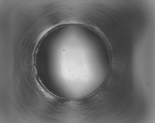 X0000076411380200610161049