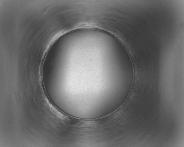 X0000076411382200610161049