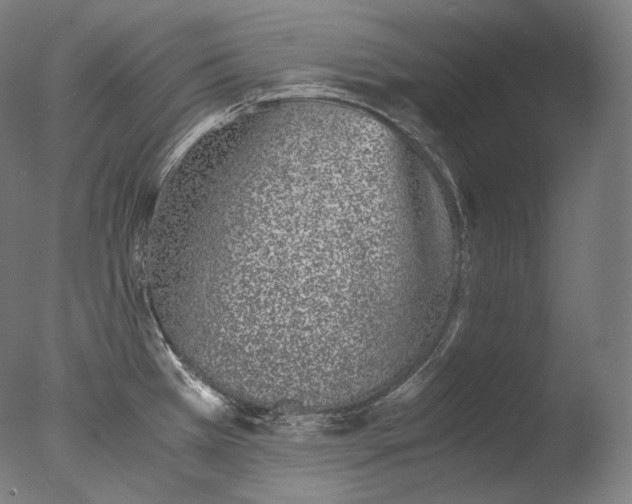 X0000076411385200610161049