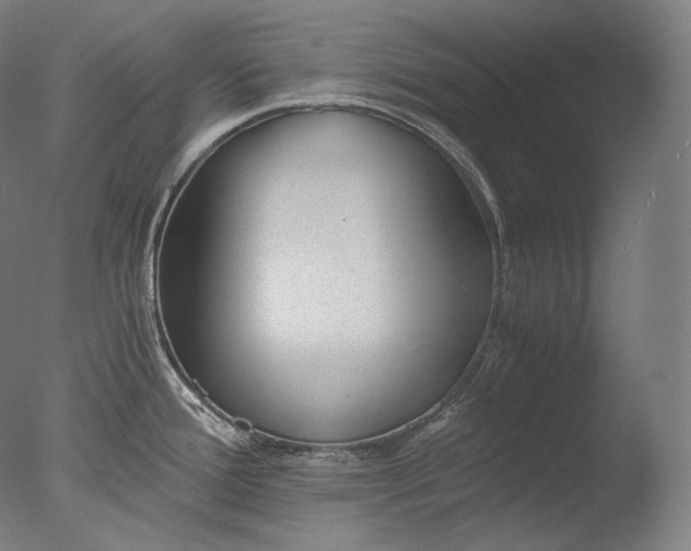 X0000076411388200610161049