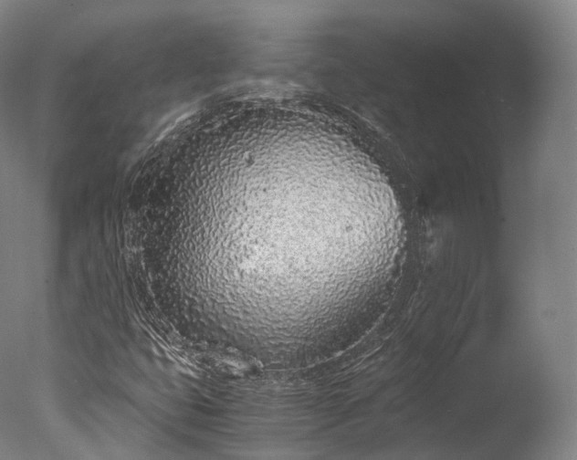 X0000076411399200610161048