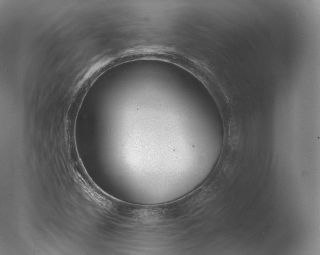 X0000076411404200610161049