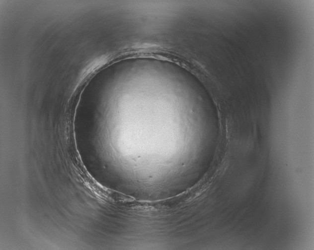X0000076411405200610161049