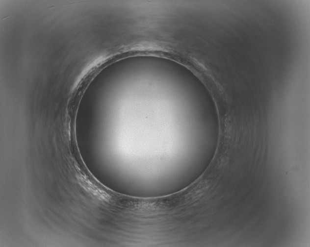 X0000076411408200610161049