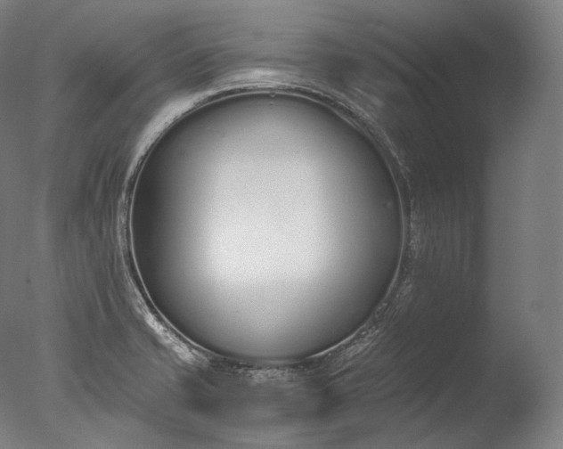X0000076411421200610161049