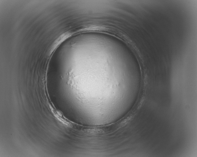X0000076411425200610161049