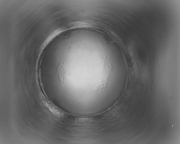 X0000076411427200610161049