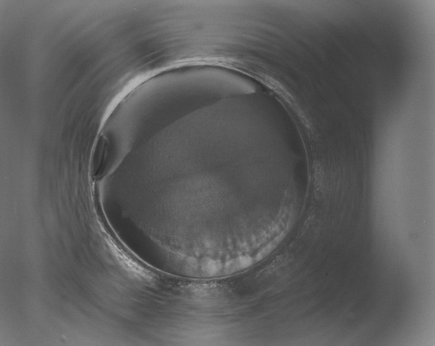 X0000076411428200610161049