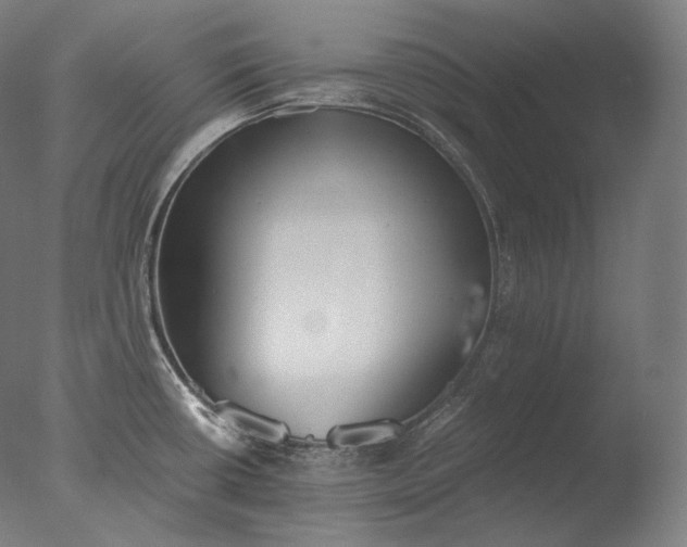 X0000076411434200610161049