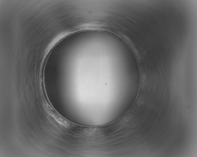 X0000076411435200610161049