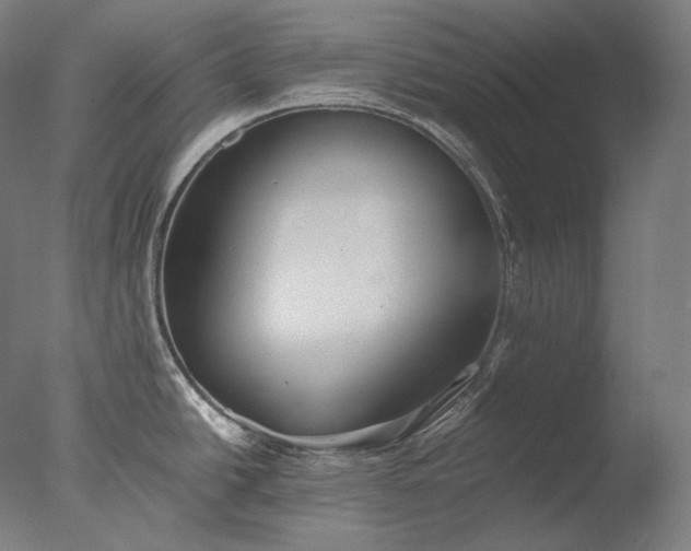 X0000076411438200610161049
