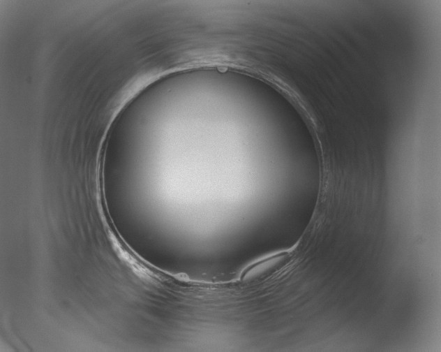 X0000076411439200610161049