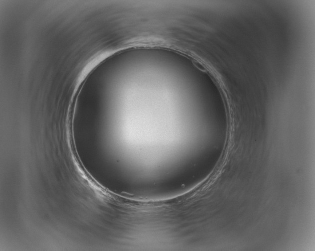 X0000076411440200610161049