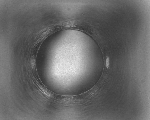 X0000076411444200610161048