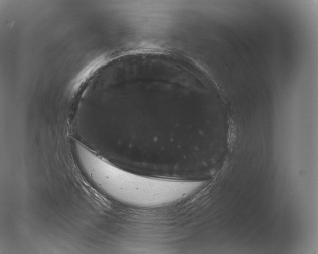 X0000076411455200610161048