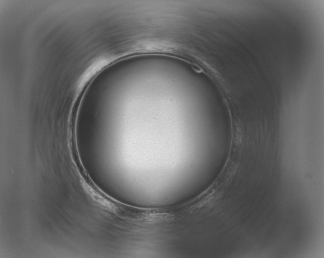 X0000076411471200610161048
