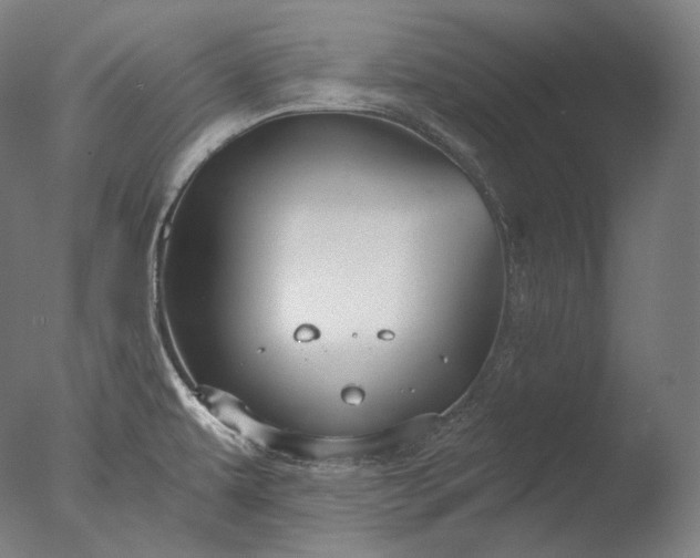 X0000076411479200610161048