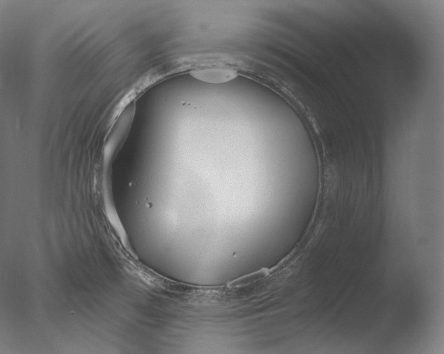 X0000076411481200610161048