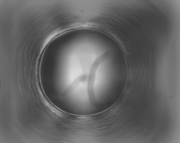 X0000076411483200610161048