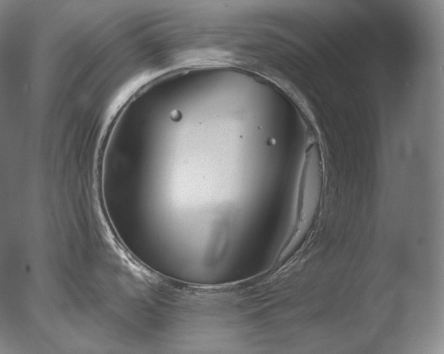 X0000076411488200610161048