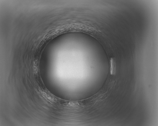 X0000076411491200610161047