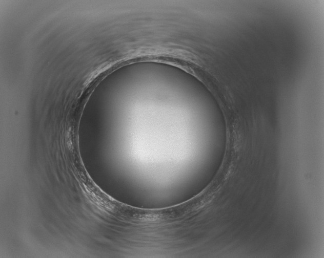 X0000076411497200610161047