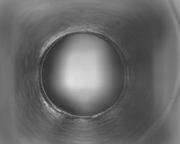 X0000076411500200610161047