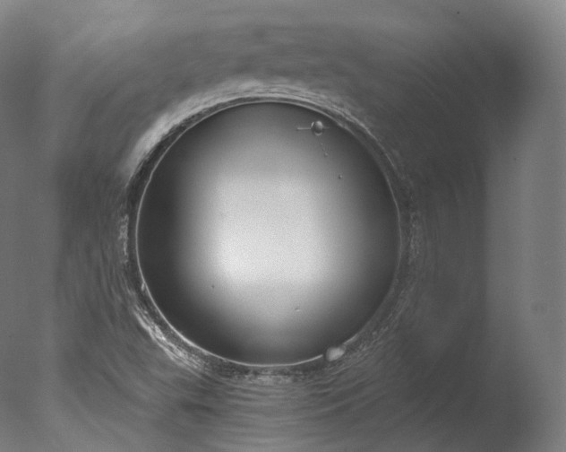 X0000076411503200610161047