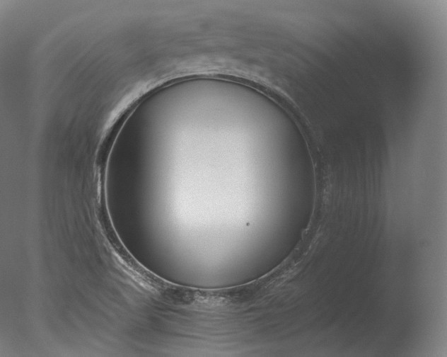 X0000076411509200610161047