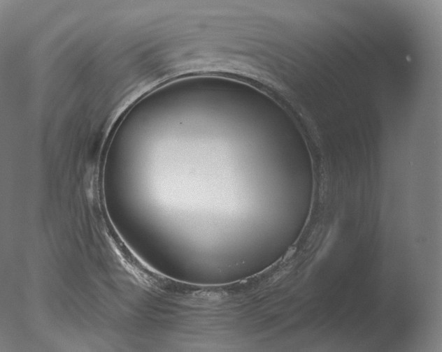 X0000076411513200610161047