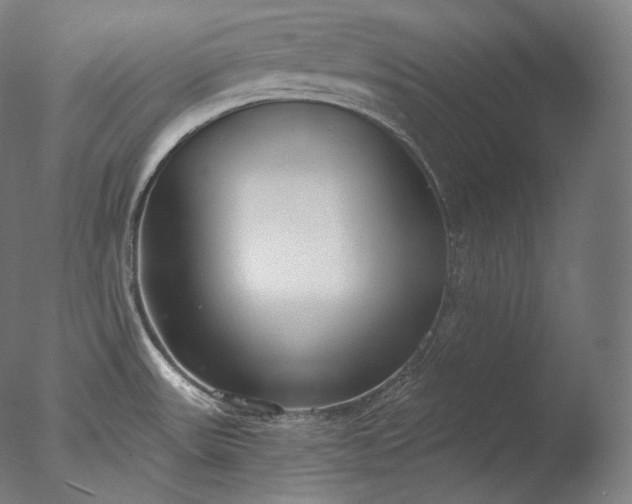 X0000076411531200610161047