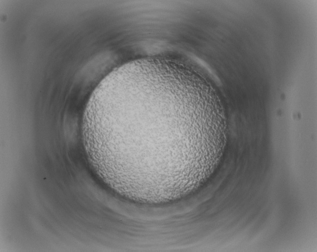 X0000076410018200610202206