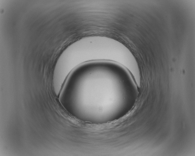 X0000076410045200610202206