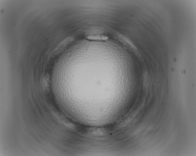 X0000076410073200610202205