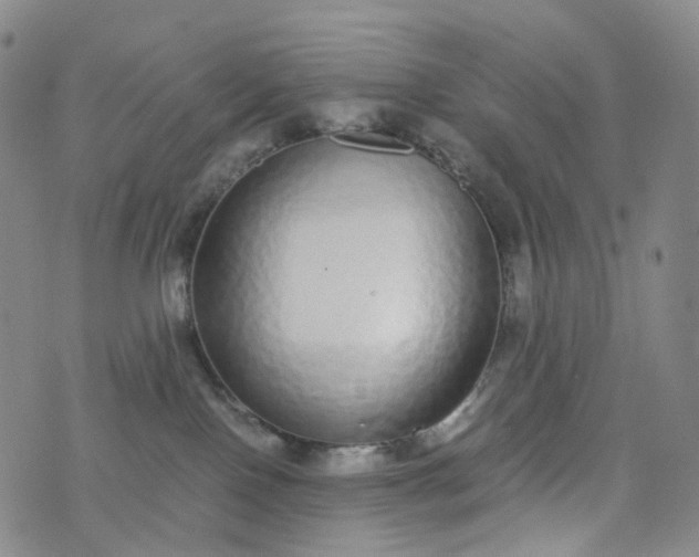 X0000076410090200610202206
