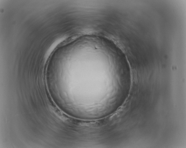 X0000076410147200610202203