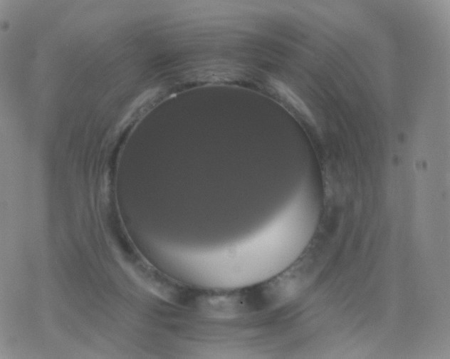 X0000076410163200610202204