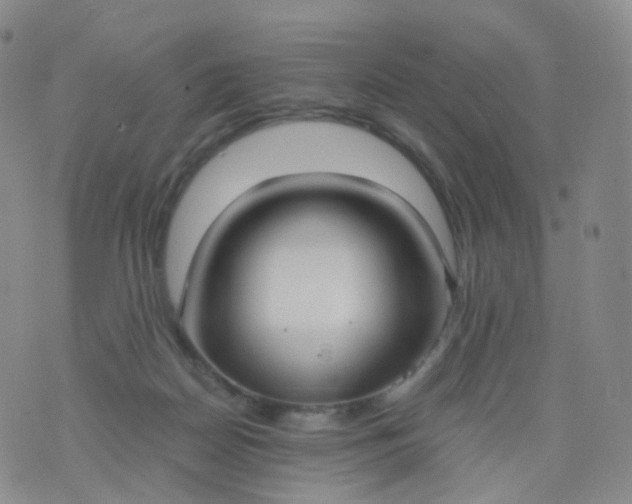 X0000076410170200610202204