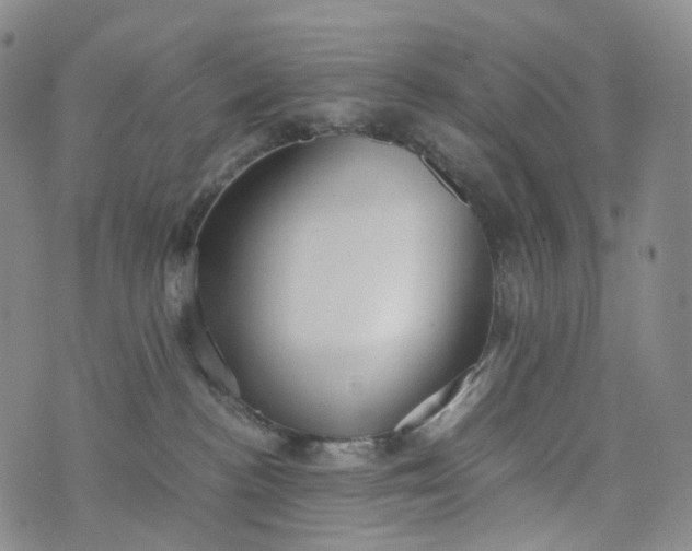 X0000076410188200610202204