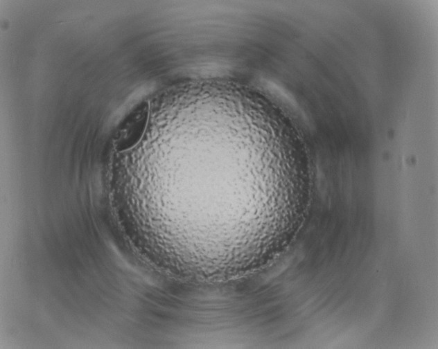 X0000076410202200610202203