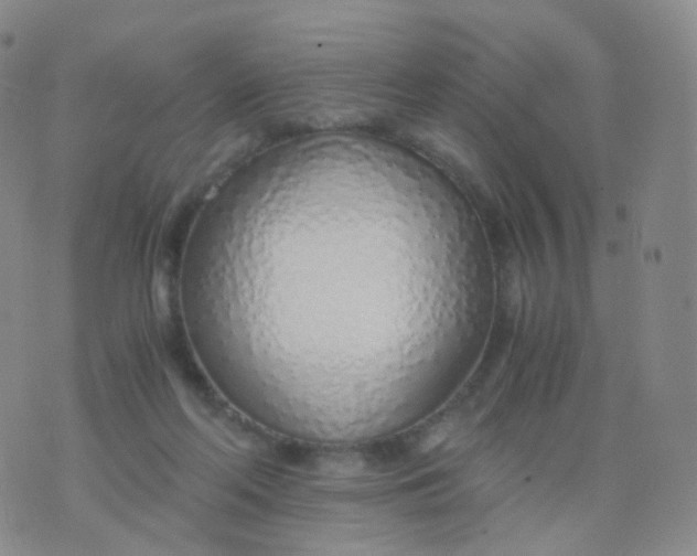 X0000076410214200610202203