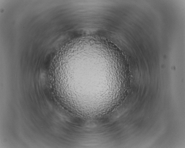 X0000076410222200610202203