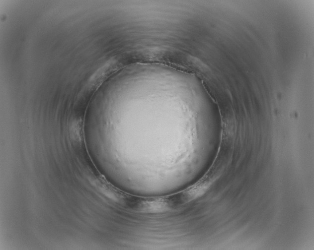X0000076410286200610202203