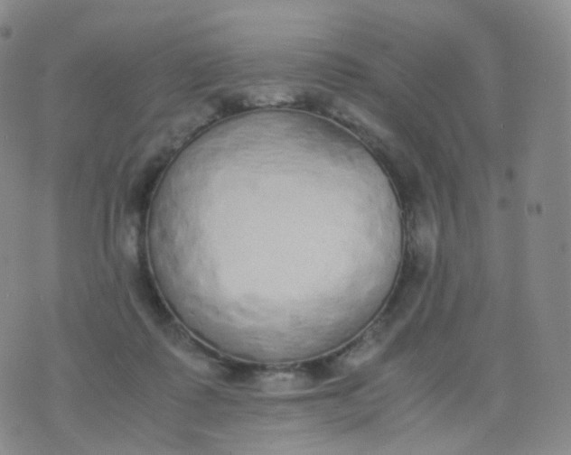 X0000076410315200610202201