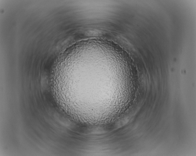 X0000076410322200610202201