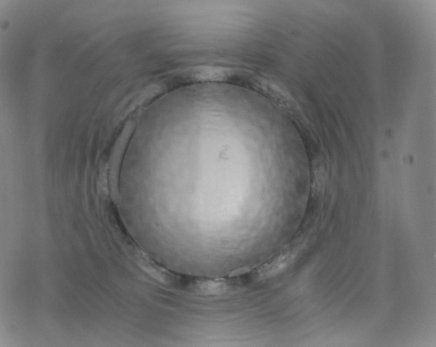 X0000076410325200610202201