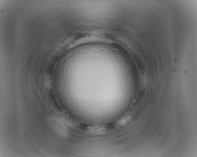 X0000076410331200610202201