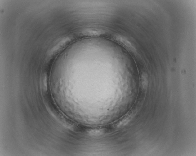 X0000076410358200610202201
