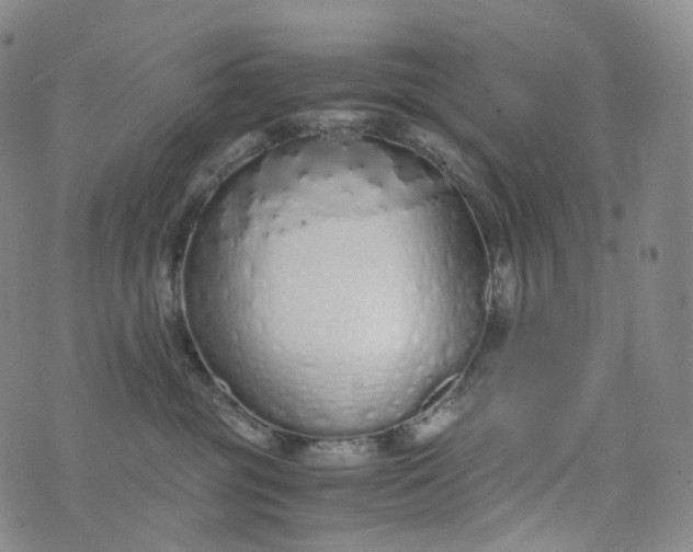 X0000076410381200610202201