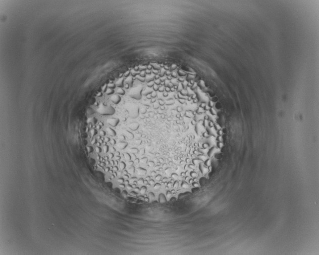X0000076410423200610202200